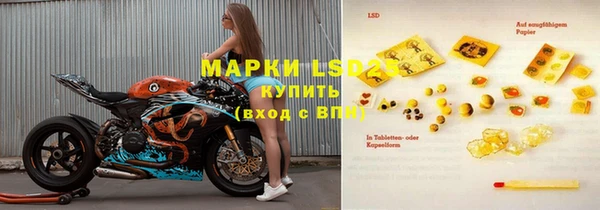 ГАЛЛЮЦИНОГЕННЫЕ ГРИБЫ Балахна