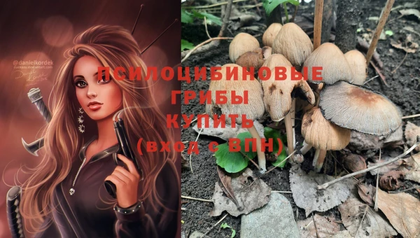 ПСИЛОЦИБИНОВЫЕ ГРИБЫ Сафоново